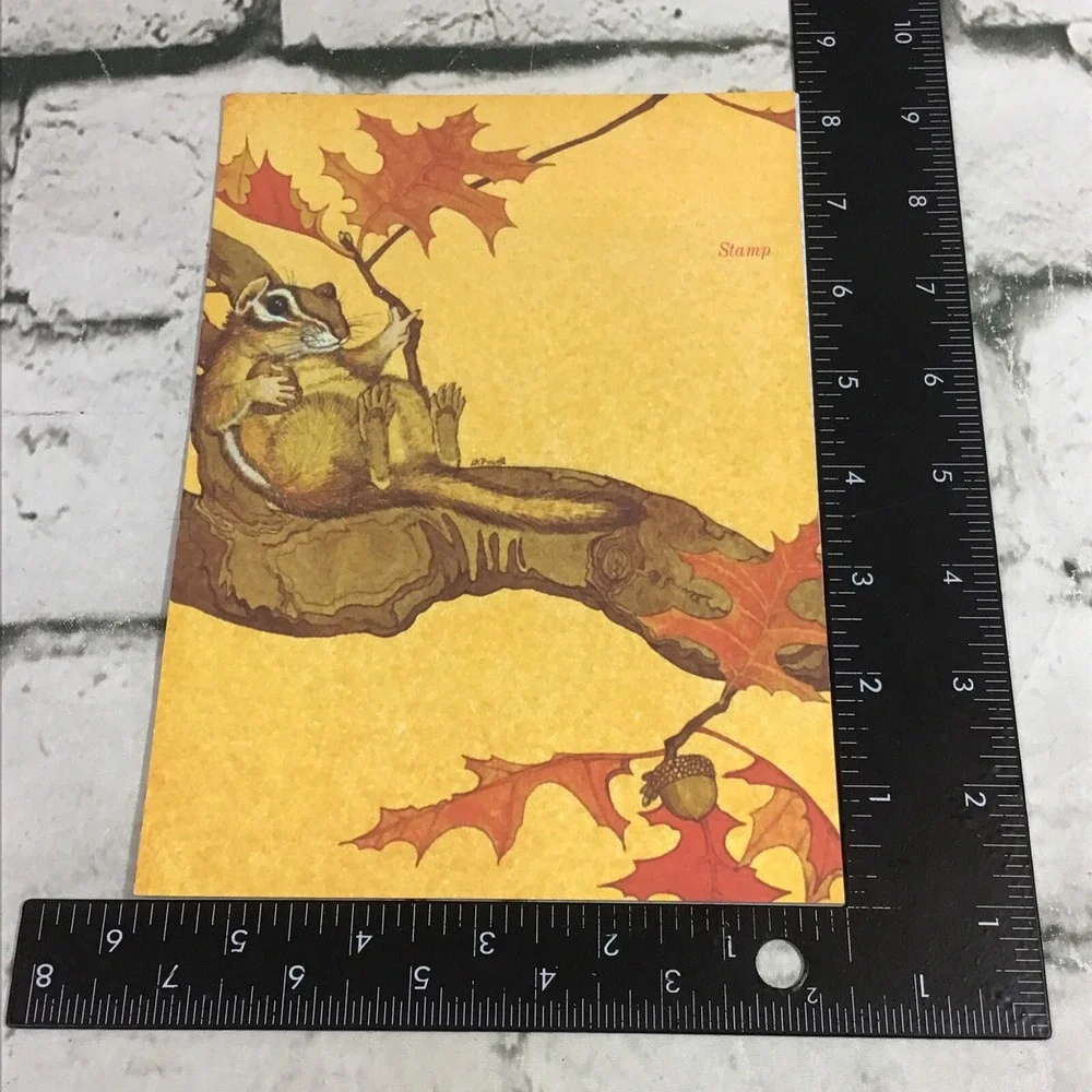 Vintage Fold And Send Notecards Lot Of 4 in 2 Styles Chipmunk Tree Frog Nature